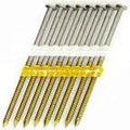 3' Inch by 0.131 -2000 Pcs. per Carton- Type 304 Stainless Steel 21 Degree (Fits 20-22 Degree Nailers) Plastic Strip - Ring Shank - Full Head Nails
