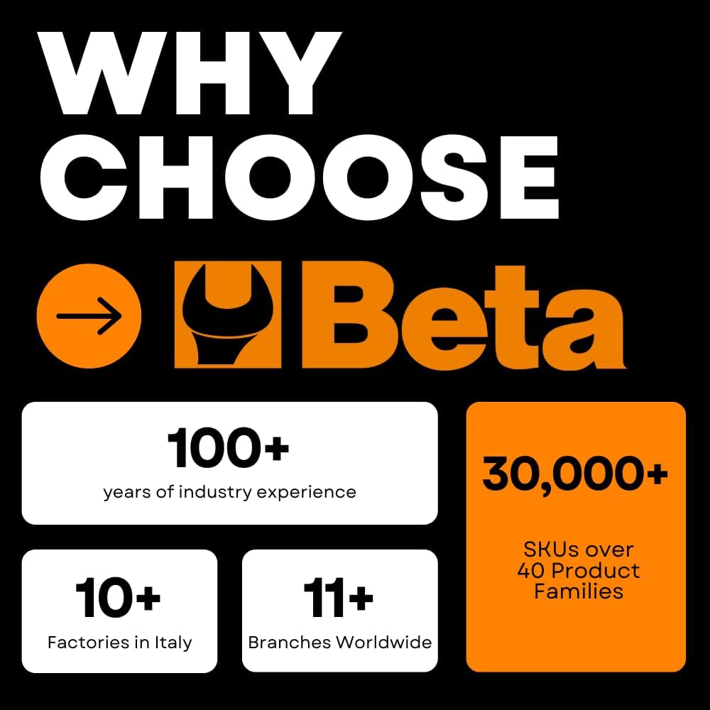 Beta 42INOX Metric 10mm Stainless Steel Combination Wrench | 12-Point Box End, 15° Offset | Corrosion-Resistant AISI 420 |Food Industry and Clean Room Safe