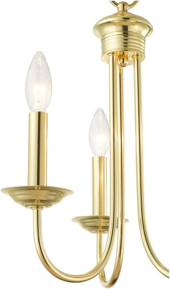 Livex Lighting Chandelier