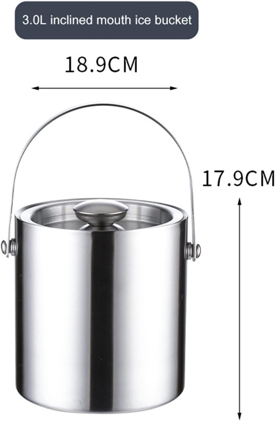 Ice Bucket Champagne Bucket Stainless Steel Portable Ice Bucket Wine Champagne Cooler Double Layer Ice Bucket With Lid Bar Party Home Drink Bucket Ice Bucket Beverage Tub (Color : 3L)