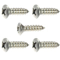 Phillips Oval Head Sheet Metal Screw 316 Stainless Steel #8 x 2-1/2' 250 Pcs self Tapping Screws Metal B2B