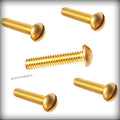 New Pack of 250 Pcs 1/4-20 x 5/8' inch Round Head Machine Machine Screws Kit Solid Brass Slotted Drive Set Warranity by Pr-Merchant