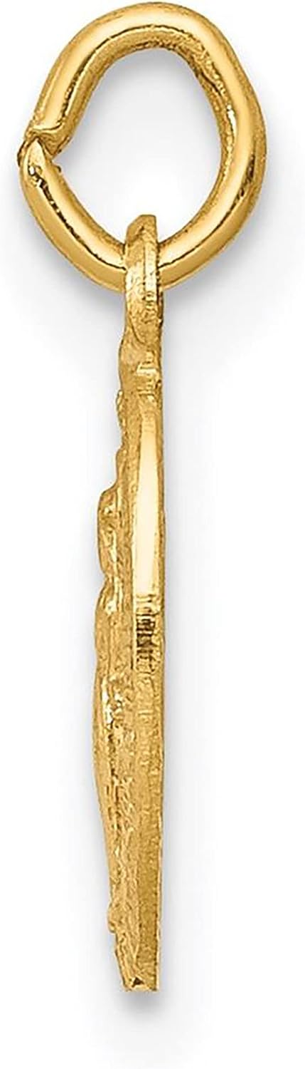 14k Yellow Gold Mini Small Miraculous Medal Charm