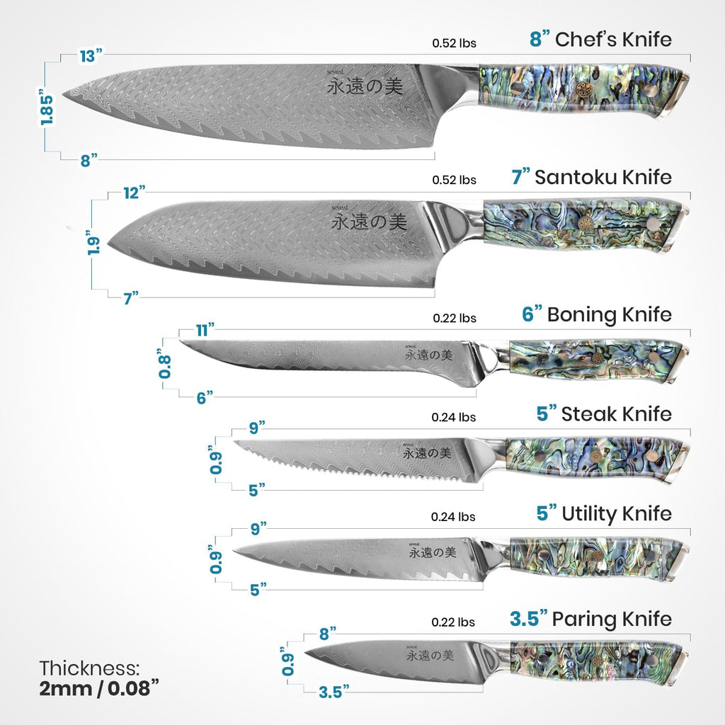 Damascus Kitchen Knife Set | 67-Layer Damascus Steel | Professional Chef Knives Set | Ergonomic Blue Shell Handle | Acacia Wood Magnetic Holder Included (Blue, 9-Piece Set)