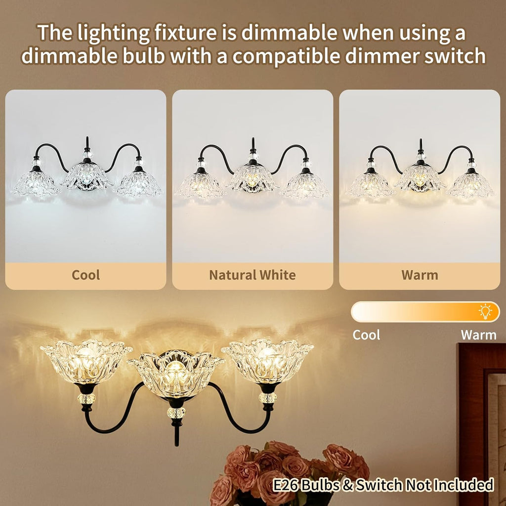 Black Bathroom Vanity Light,3-Light Vanity Light with Crystal Glass Shades,Vintage Farmhouse Vanity Lighting for Bathroom and Dressing Table