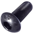 1/4-20 x 3' Button Head Socket Cap Screws Kit Hardware Black Oxide Alloy Steel Pack of 250 Fastener Set LS20539F