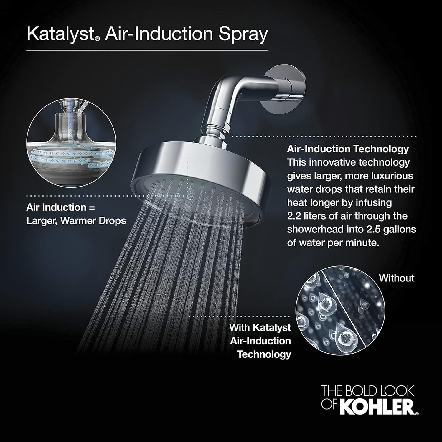 Kohler TS396-4-CP Devonshire(R) Rite-Temp(R) Shower Valve Trim with Lever Handle And 2.5 gpm Showerhead, Polished Chrome