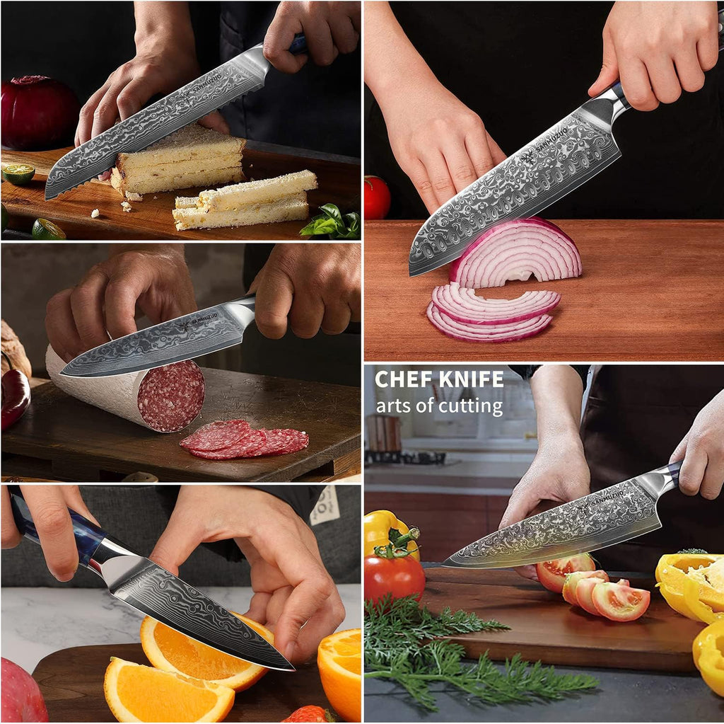 Chef Cooking Knives Set- Kitchen Knife Set of 5 Piece - Ultra-Sharp VG10 Damascus Steel & Resin Handle - Xuan Series (Sapphire Blue)