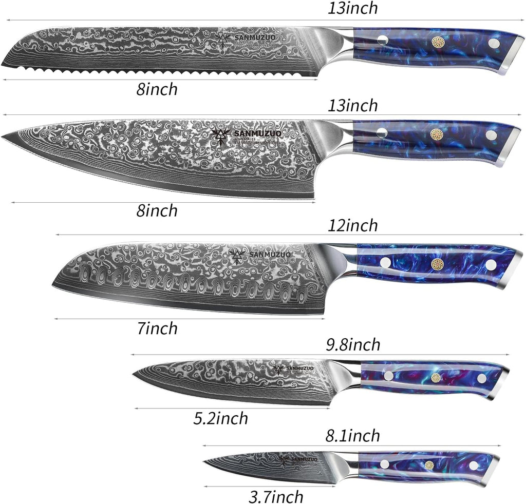 Chef Cooking Knives Set- Kitchen Knife Set of 5 Piece - Ultra-Sharp VG10 Damascus Steel & Resin Handle - Xuan Series (Sapphire Blue)